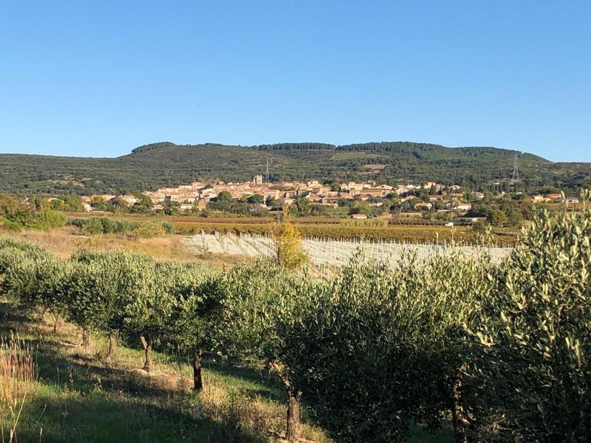 Val Des Bruyeres - Gite 15Mn Pezenas Avec Terrasse Et Cour Close - Parking Privatif Securise - Wifi Ftth Gratuit Neffies Экстерьер фото