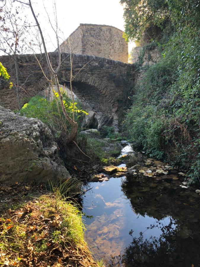 Val Des Bruyeres - Gite 15Mn Pezenas Avec Terrasse Et Cour Close - Parking Privatif Securise - Wifi Ftth Gratuit Neffies Экстерьер фото